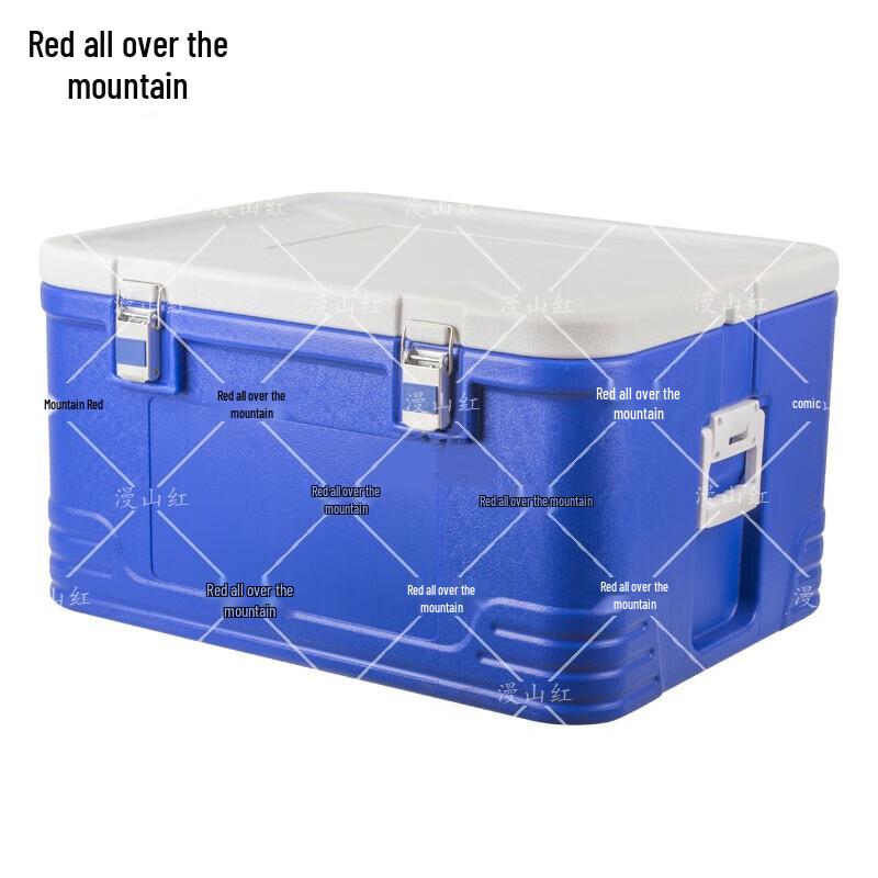 Portable Insulated Food Delivery & Storage Box