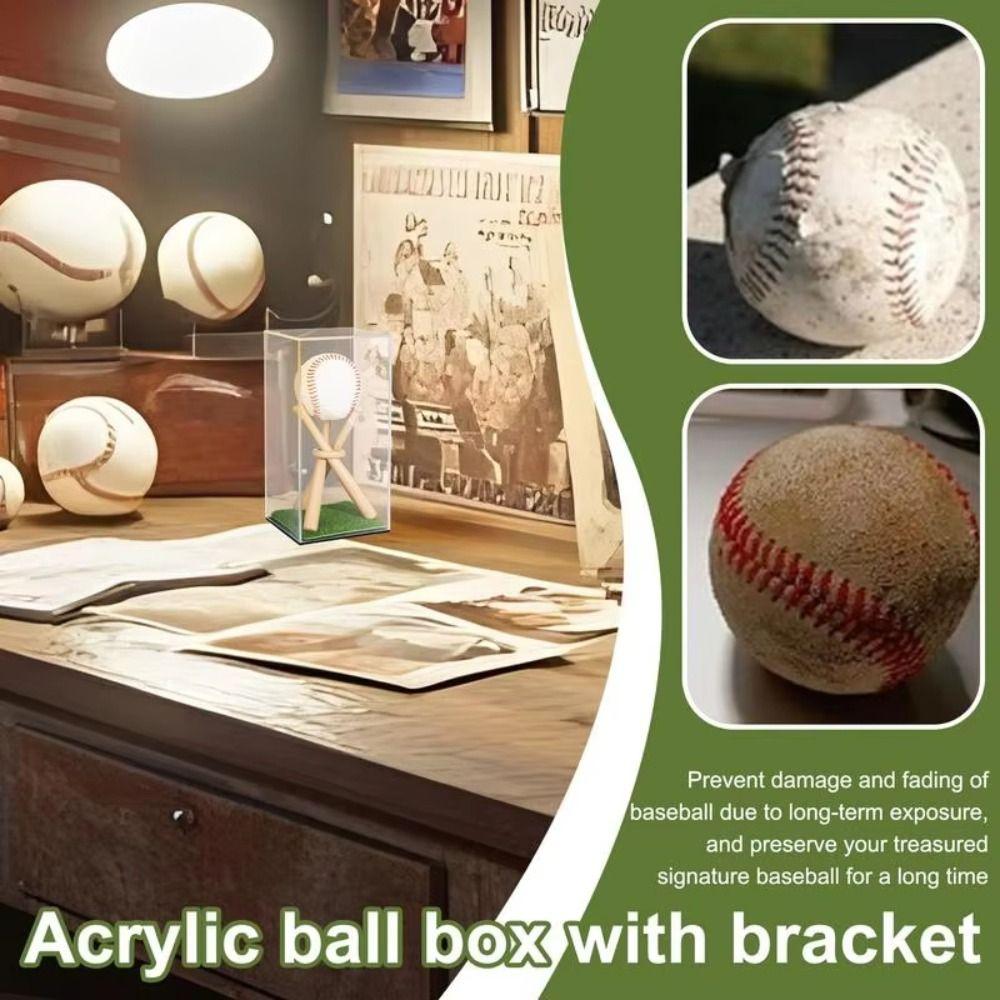 UV Protection Baseball Display Stand Dustproof Baseball Holder Case  Autograph