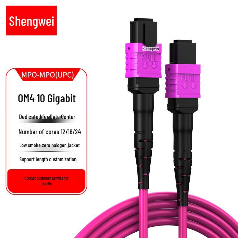 

Shengwei 400G/800G Data Center MPO OM4 Fiber Patch Cable 10M