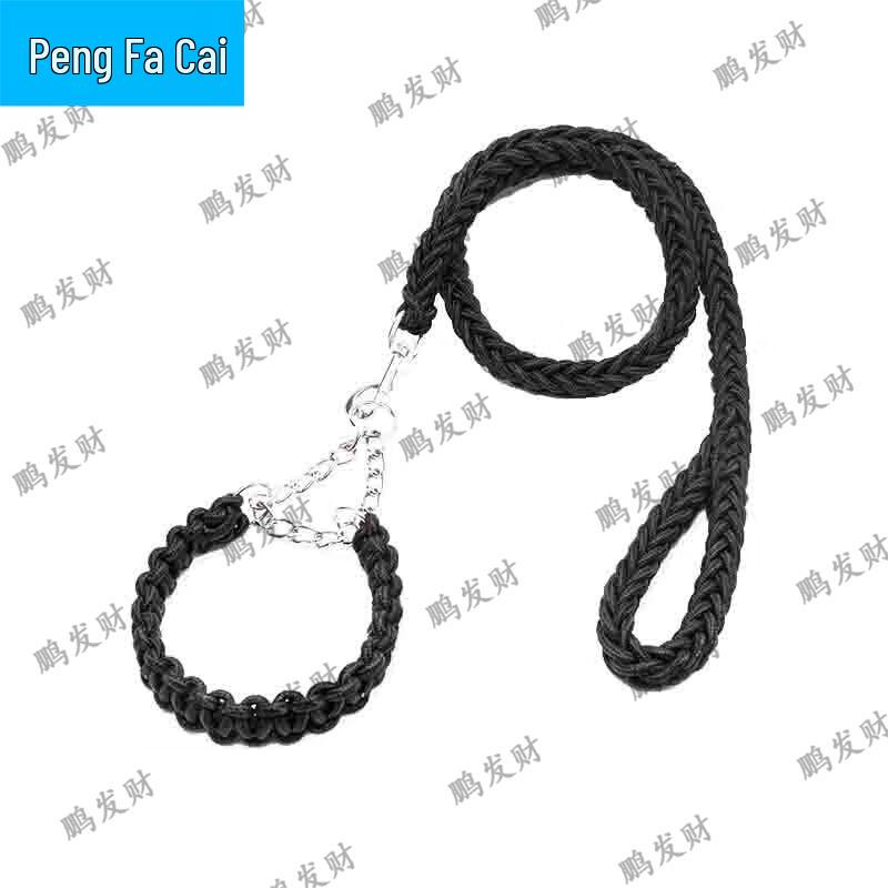 Braided Anti-Pull Dog Collar & Leash Set