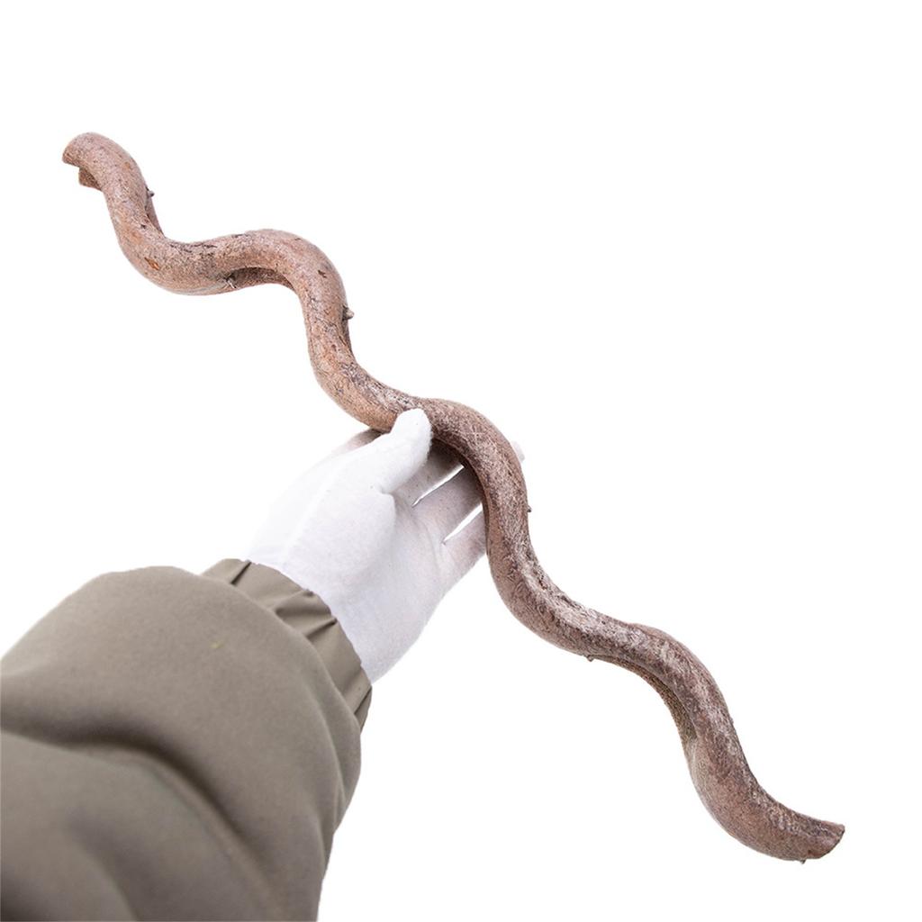 Reptile Habitats Decoration Terrarium Natural Rattan Climbing Branch Resting Shelter Vine for Snake Bearded Dragon