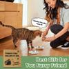 304 Stainless Steel Pet Cat Dog Tray Pet Feeder Bowl Durable Cheap Protects Cervical Vertebravels Food Grade Round Plate