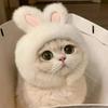 1pc Bunny Ears Hat for Cats Dogs, Knit Pet Costume Headwear, Pullover Fun Animal Clothing for Photos & Dress Up, Pet Accessories