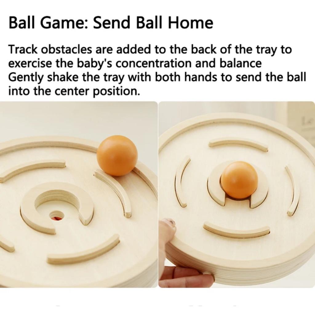 Children Parish Montessori Sensory Wooden Toys Sorting Ball Cup Coins Fine Motor Training Matching Games Early Educational Toys