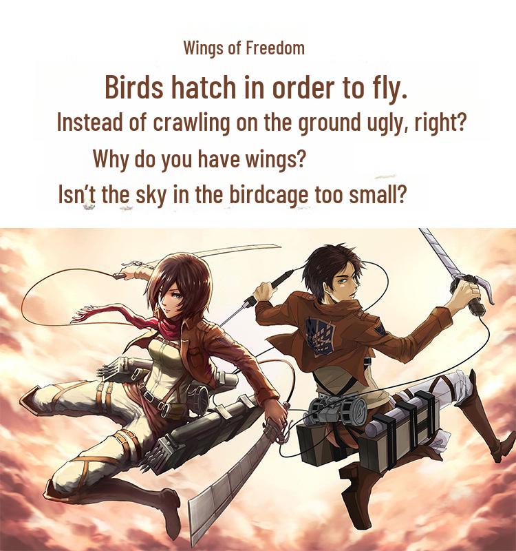 Attack On Titan Survey Corps Wings of Freedom Jacket for Men and Women - COS Costume for Role Playing