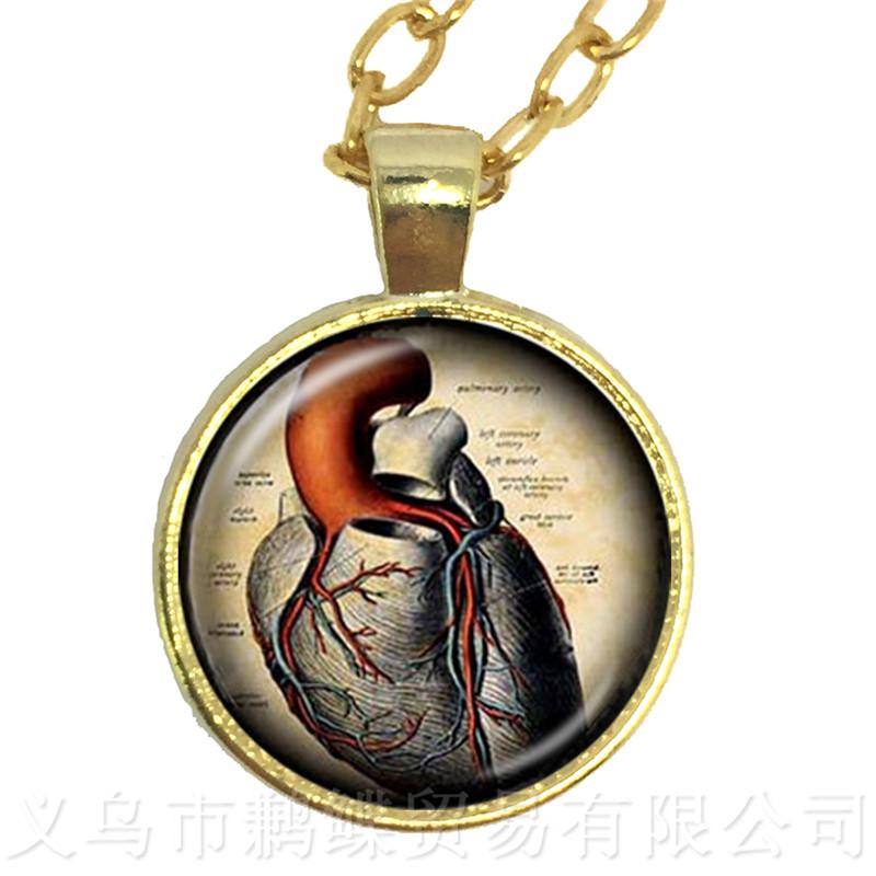 Human Anatomy Organ Necklace Glass Cabochon Science Medical Punk Brain Eye Jewelry Sweater chain Creative Gift