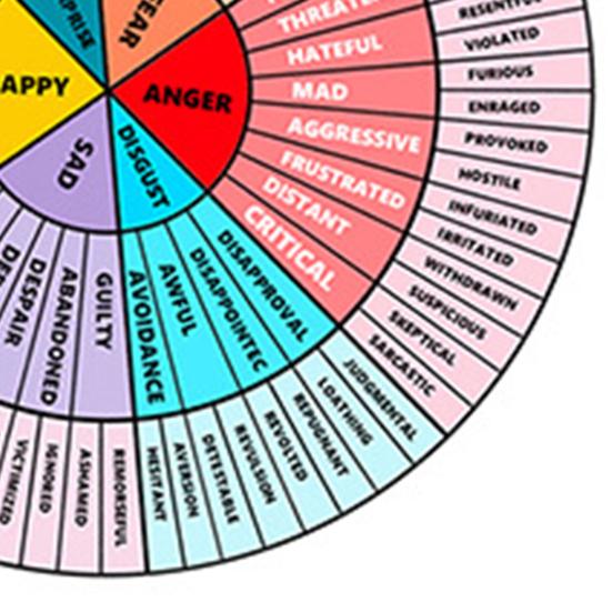 2 stk Telefonklistremerker Følelseshjul Følelsesoversikt Vanntett Gjenbrukbar Bredt utvalg Følelser Dekorativt selvklebende Fjernbare Kjøleskapsdekaler Gave