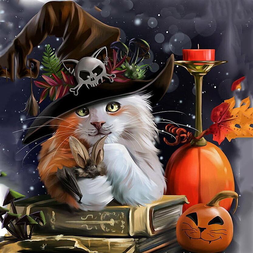 5D DIY Diamant Stickerei Katze voller runder Diamant Malerei Tier Strass Kunst Halloween Dekorationen