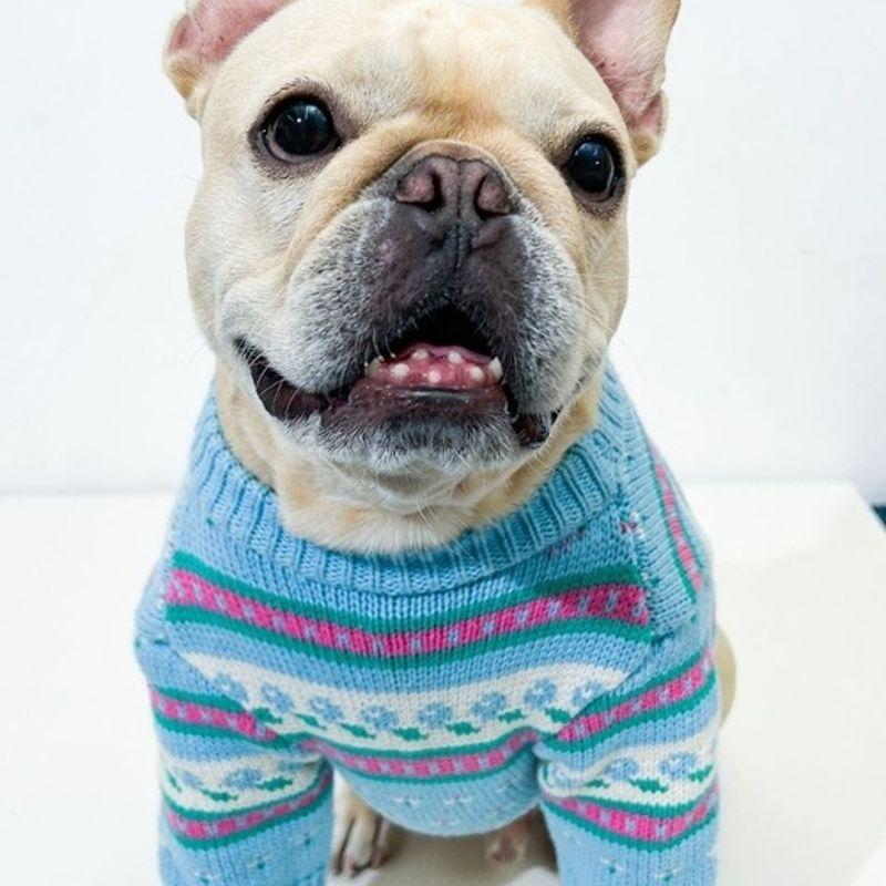 TOOF Vintage Sweater l Blue