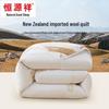 Hengyuanxiang Class A Antibacterial New Zealand Wool Quilt