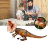 Realistisches Dinosaurier-Modellspielzeug für Kinder Spinosaurus Stegosaurus
