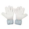 Nike Goalkeeper Gloves HQ0256-395
