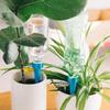 10/30/50PCS Automatic Watering Device Business Trip Timing Adjustable Watering Artifact Household Water Dispenser Water Dispe