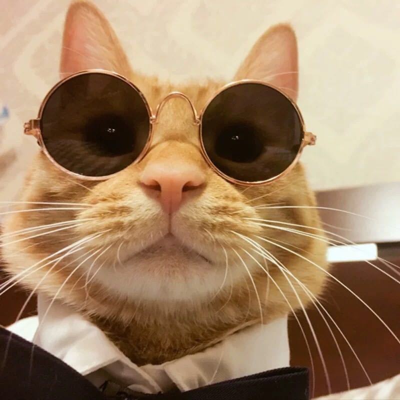 1 Pc Pet Glasses Retro Cool Hippie Style Glasses Doll Props For Photography Cat & Dog Funny Sunglasses Accessories