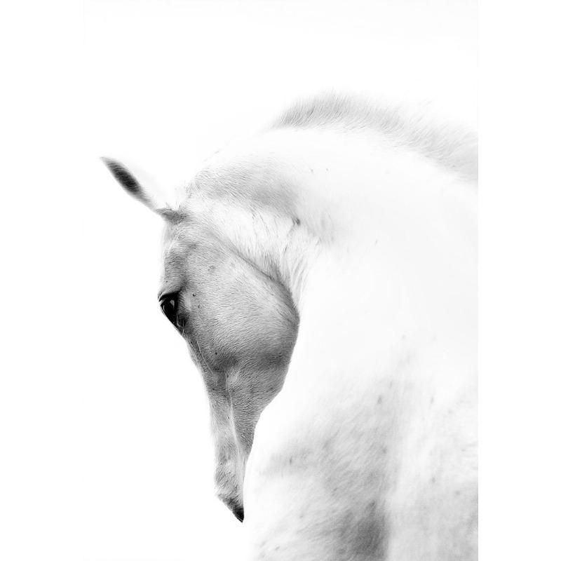 Černobílý portrét koně Plakátový tisk Plátno Malba Běžící koně Zvířecí nástěnné umění Obrázek pro pokoj na statku Domácí dekorace