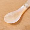 Seasoning Condiment Caviar Conch Scoop Coffee Fork Shell Spoon Teaspoon Ice Cream Dessert Spoon