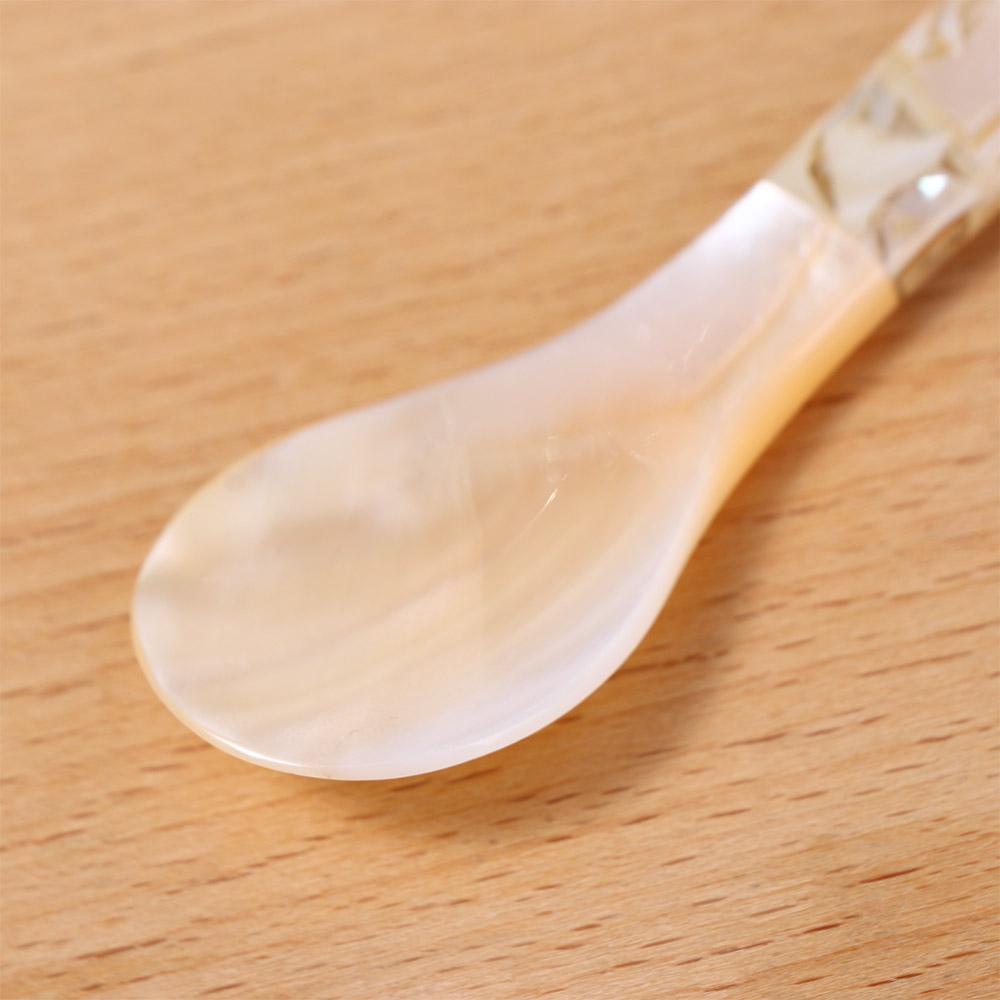 Seasoning Condiment Caviar Conch Scoop Coffee Fork Shell Spoon Teaspoon Ice Cream Dessert Spoon