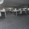 Versatile Carpet Tiles for Office, Study, Salon, Gym, Hotel, and More