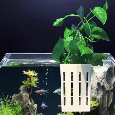 Cesto Hidropônico para Plantas de Aquário Cesto para Plantio de Grama Aquática Doméstica Cesto para Plantio de Plantas Montado na Parede Decoração de Paisagismo de Aquário