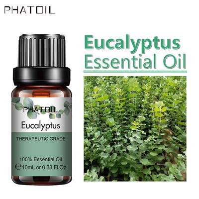 PHATOIL 5ml/10ml/15ml/30ml/100ml Olio essenziale di estratto vegetale puro di eucalipto per diffusori di aromaterapia Rinfrescante per il corpo alleviare