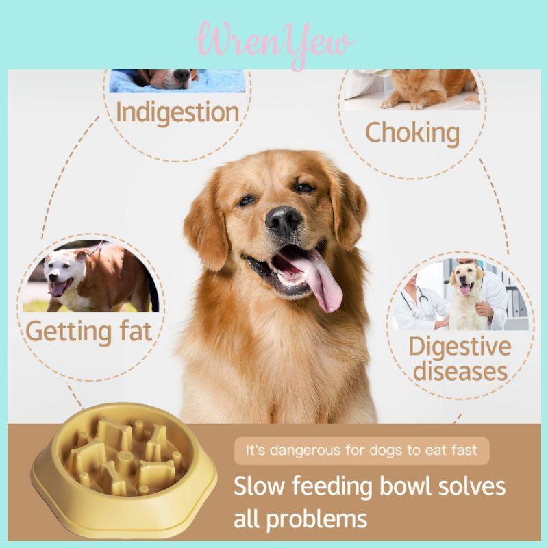 Vibrant Anti-spill Pet Feeding Bowl Slow Feeder Design For Dogs And Cats Multiple Colors Available