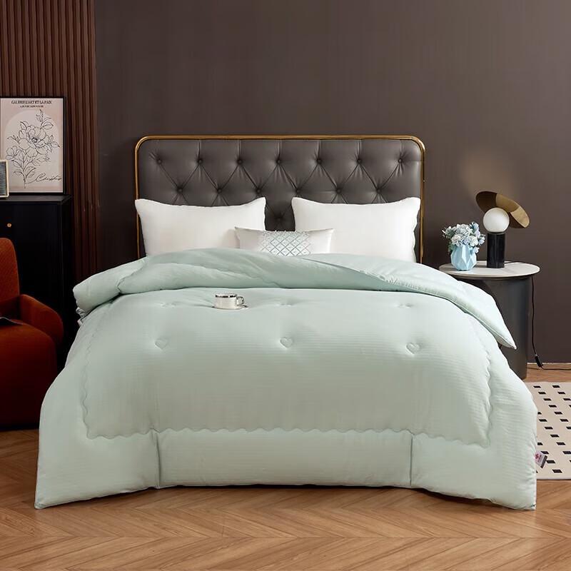 Jeliya CP1687 Antibacterial Winter Quilt