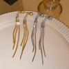 Snake-shaped Front and Rear Two Wearing Fringed Earrings, Cold Wind Earrings, Niche Personalized Metal Wind Earrings