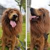 Halloween Lion Mane Dog Wig Hat for Dogs and Cat Small Large Dogs Pet Cat Decor Accessories Lion Wig Fancy Hair Cap Pet Supplies