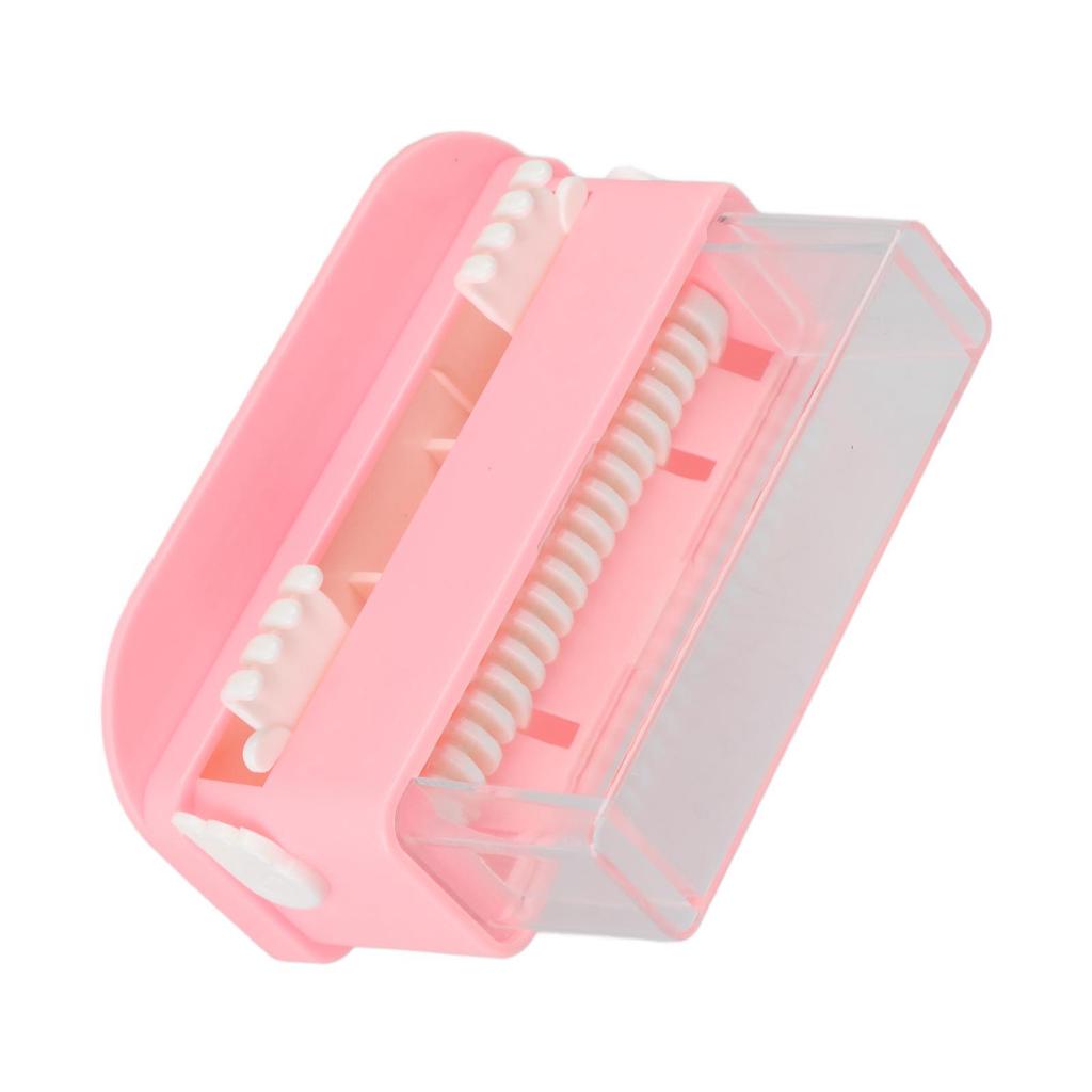 Micro Applicator Holder Box Transparent Large Capacity Plastic Dental Applicator Brush Dispenser