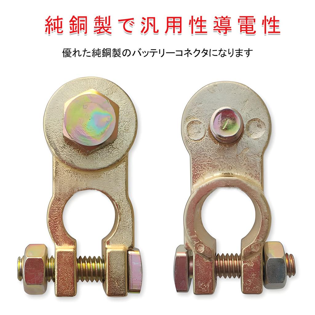 Car Terminal, Large Pole (D Terminal), Terminal for D Symbol Batteries,