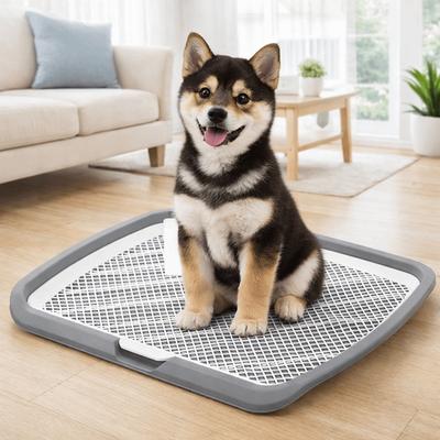 Splash-Proof Dog Training Toilet Mesh Removable Net Pet Pee Pad Holder Plastic Open Top Dog Potty Trainer Training