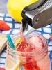Lemon Squeezer Stainless Steel Bird Stainless Steel Juicer Hand Press Kitchen Tool