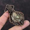 Ammonite Fossil Pendant Copper Wire Wrapped Gemstone Jewelry Copper Pendant Ethnic Jewelry Handmade Pendant Wire Wrap Pendant Gift For Women