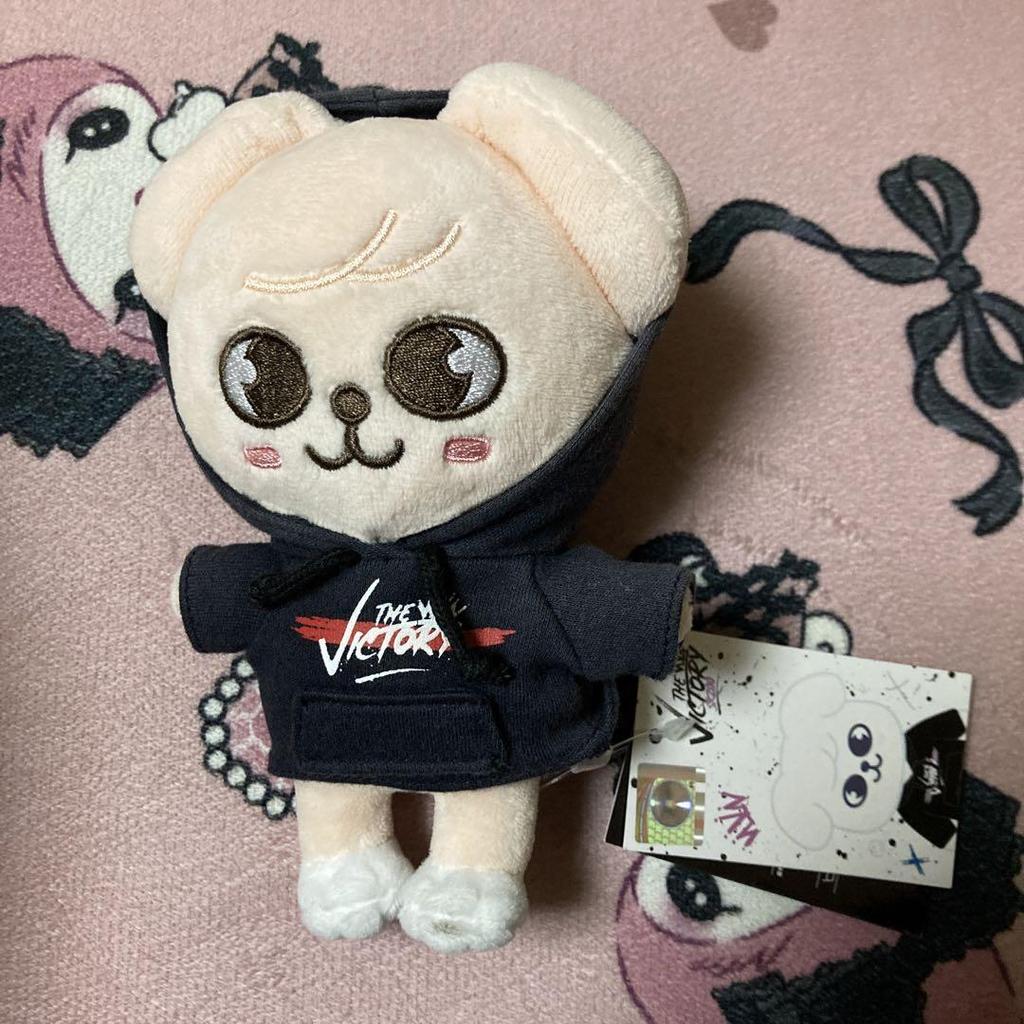 [USED] Straykids Official Plush Toy Papim