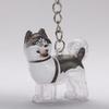 Transparent Dog Hair Collection Pendant Bichon Husky Corgi Portable Dog Hair Storage Capsule Gifts Dog Hair Storage Box
