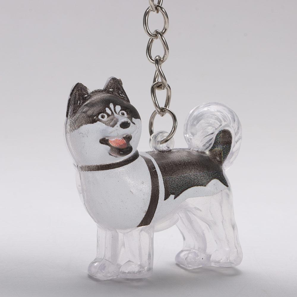 Transparent Dog Hair Collection Pendant Bichon Husky Corgi Portable Dog Hair Storage Capsule Gifts Dog Hair Storage Box
