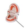 Zestaw narzędzi do czyszczenia zębów Lustro do ust Pęseta ze stali nierdzewnej Sonda kolankowa Instrument dentystyczny Wybielanie zębów Stomatologia