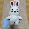 Used MINITEEN Stuffed Toy S.Coups SEVENTEEN