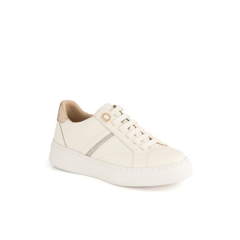 

Tandy Women S SneakerS Ivory J1589v 225