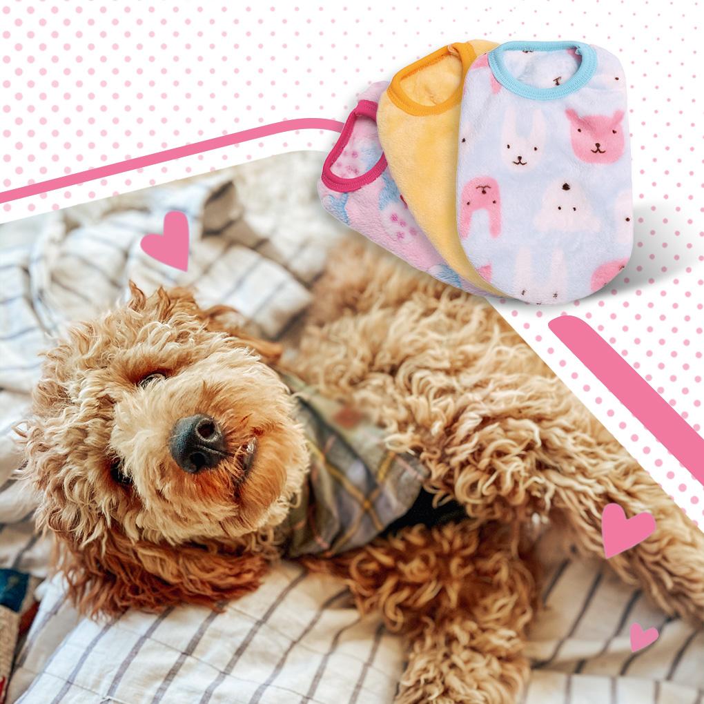 Pet Clothes Coral Velvet Vest Vests with Cute Patterns Clothing Fashionable Windproof Breathable Wearing for Winter Autumn