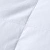 Fang'en Premium White Goose Down Quilt