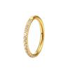 G23 Titanium Nose Ring 14G 16G 18G 20G Hinged Segment Cartilage Tragus Earring Helix Daith Hoops Septum Clicker Piercing Jewelry