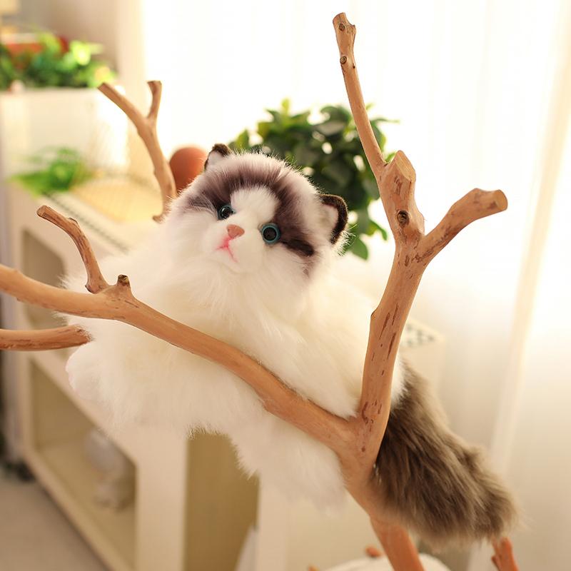 Søt Simulering Plysj Klutdukke Katteleke Myk Tegneserie Kosedyr Fluffy Hjemmedekor Gaver Til Jente