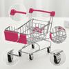 Mini-Einkaufswagen Kleiner Supermarkt Lustiger Frühpädagogischer Handwagen Einkaufswagen für