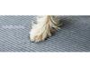 Wavy Pet Stairs: Popular Dog Ramp & Climbing Ladder for Pets