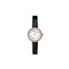 ROSA Collection Wrist Watch Quartz Movement Genuine Leather Strap 30mm White Dial Women's Watch AR11356