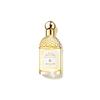 Perfumes – Perfumes