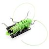 Mini Cricket Educational Kids Gift Solar Bug Robot Insect Learning