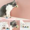 Catnip Wall Ball Licking Snacks Healthy Nutrition Ball Teeth Cleaning Catnip Toy for Cats Clean Mouth Promote Digestion Indoor