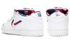 Nike Sb Skateboard Dunk Low Og Qs 'Bianco' CN4504-100